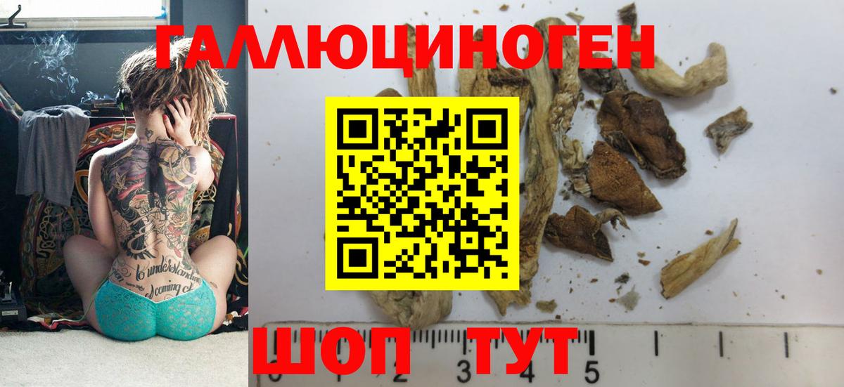 Псилоцибиновые грибы ЛСД  Галлюциногенные грибы Magic Shrooms  Вход с VPN  Знаменск 