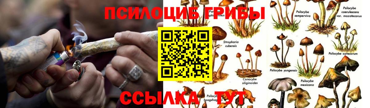 Псилоцибиновые грибы мухоморы Знаменск